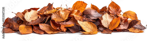 Pile of autumn leaves