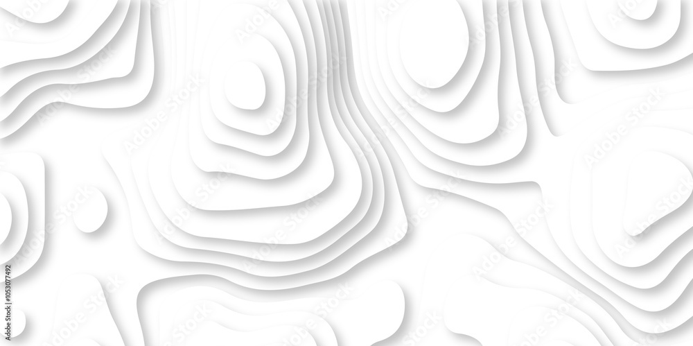 Vector minimal light element shadow landscape wave element curve graphic papercut design. Background with lines Modern black and white carve wave line abstract luxury papercut background. Vector minimal light element shadow landscape wave element curve graphic papercut design. Background with lines Modern black and white carve wave line abstract luxury papercut background.