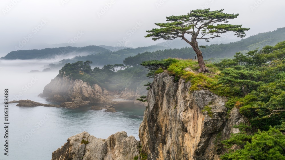 Solitary tree stands tall on a cliff edge overlooking vast and scenic landscape Solitary tree stands tall on a cliff edge overlooking vast and scenic landscape