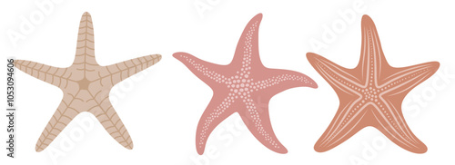 Cute starfish vector set cute cartoon style. 