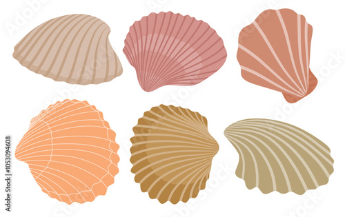 Cute scallop set cute cartoon style. Seashell collection on white background.