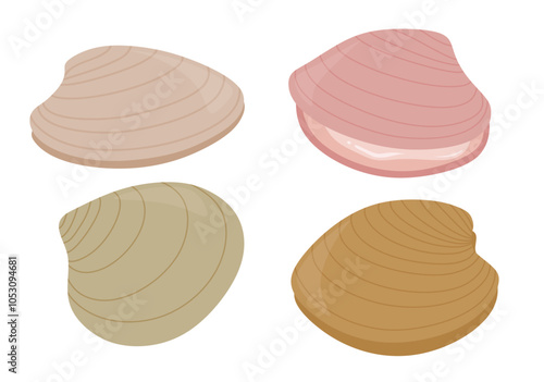 Cute clams set cute cartoon style. Seashell collection on white background.