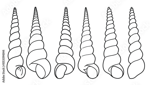 Hand drawn snail shell Outline black. doodle  sea shells set with doodle style.