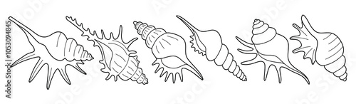 Hand drawn snail shell Outline black. doodle  sea shells set with doodle style.