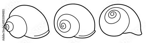 Hand drawn snail shell Outline black. doodle  sea shells set with doodle style.