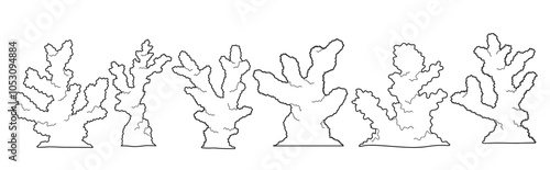 Hand drawn coral Outline black. doodle reef set with doodle style.