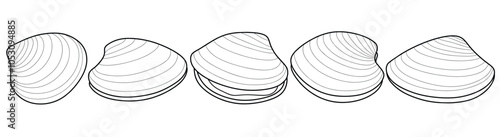 Hand drawn clam Outline black. doodle  sea shells set with doodle style.