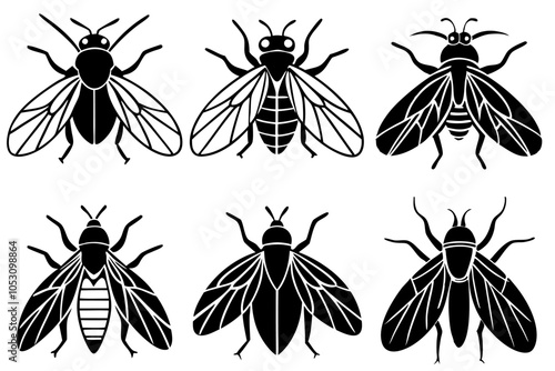 fly's design silhouette vector illustration