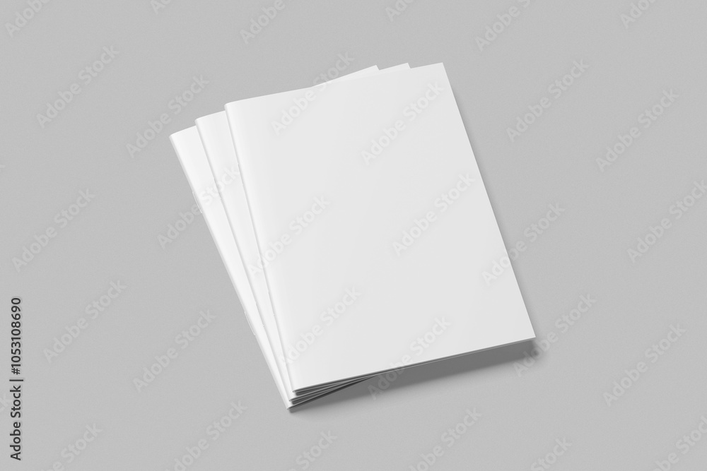 Brochure Blank Brochure Blank