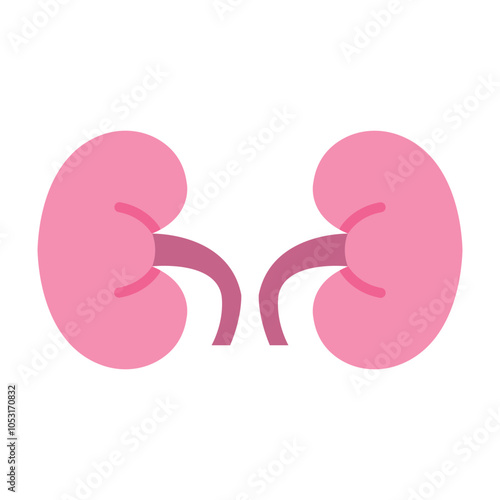 Kidney Flat Icon Design