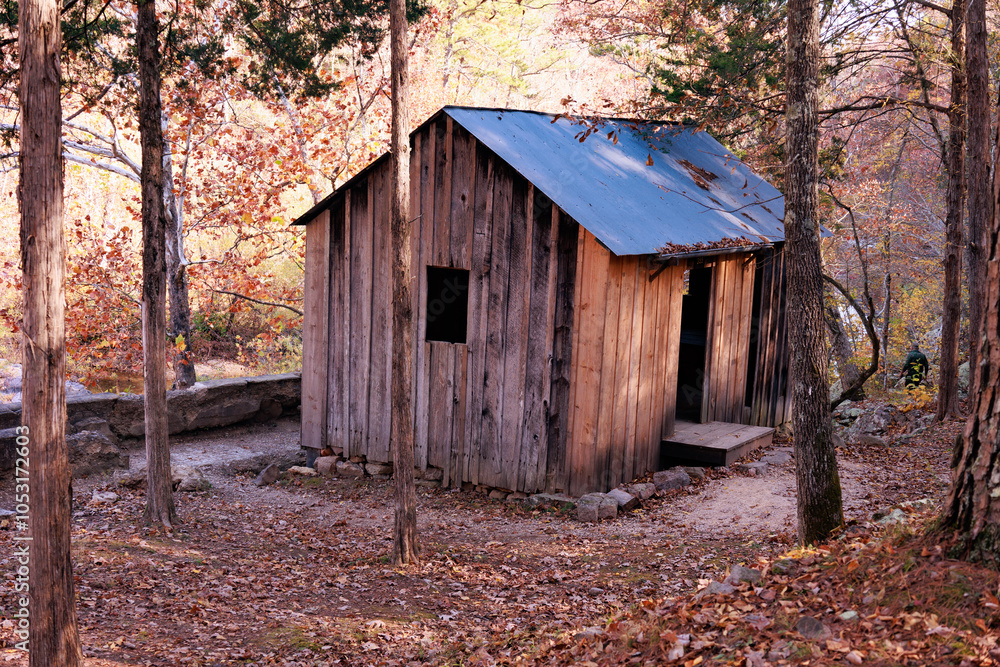 Old shed in the woods, Klepzig Mill site, Shannon County, MO Old shed in the woods, Klepzig Mill site, Shannon County, MO