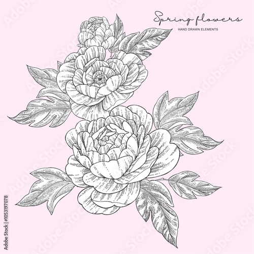 Composition of peony flowers and leaves. Tattoo style. Hand drawn inked flowers. Floral elements isolated. Vector illustration.