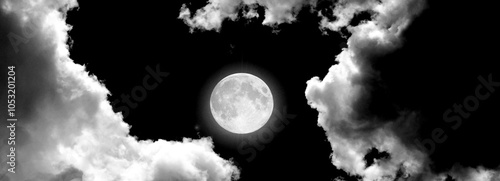 Obraz na płótnie The moon in the night sky w salonie