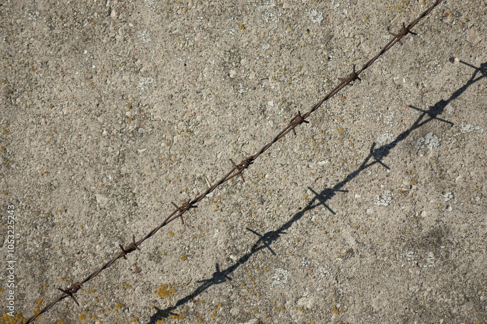 Fototapeta premium barbed wire and its shadow against a concrete wall