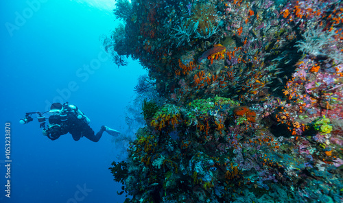 Wallpaper Mural diver exploring coral reef in the clear water of Raja Ampat Torontodigital.ca