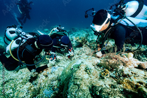 group of divers taking macro pictures in Raja Ampat photo