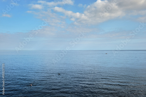 Canvas Print Baignade en méditerranée