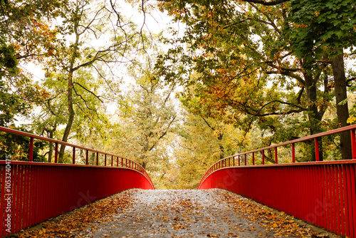 Many fallen leaves on a bridge. Autumn in a park photo