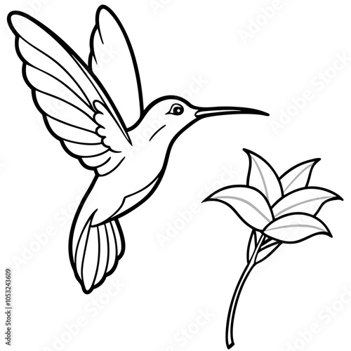 Design a Hummingbird Hovering by a Flower with Blurred Wings