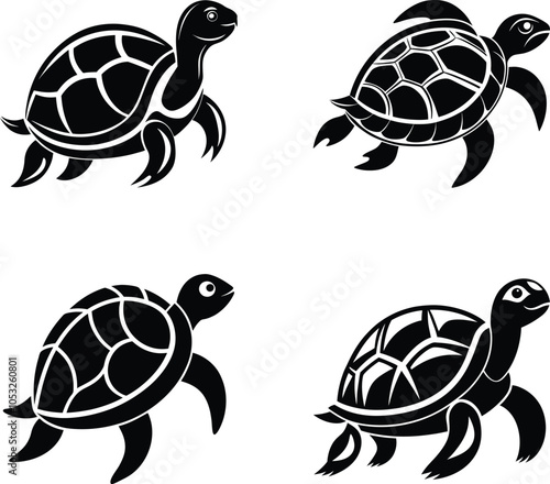 turtle isolated on white background, black and white sea turtle
