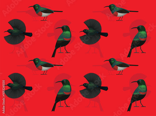 Bird Palestine Sunbird Cartoon Cute Seamless Wallpaper Background