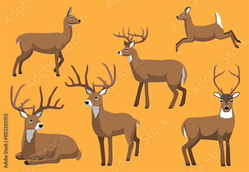 White-tailed Deer Various Poses Character Vector Illustration