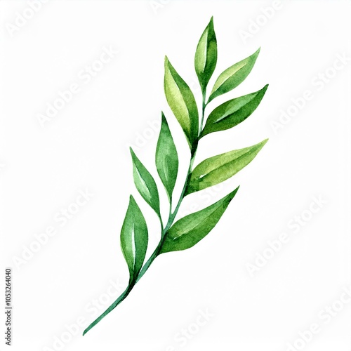 Watercolor long green botanical leaves branch isolated