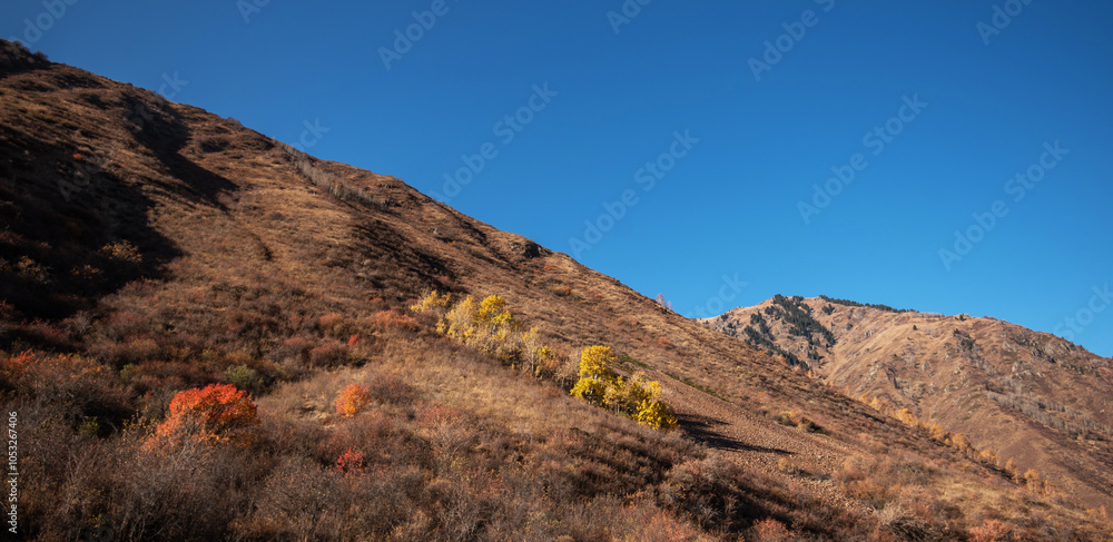 Fototapeta premium Sunlight filters through a forested mountainside, illuminating the red and gold autumn leaves against a backdrop of rugged slopes, evoking the serene beauty of a mountain wilderness in fall.