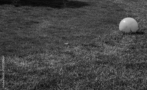 ball in the grass