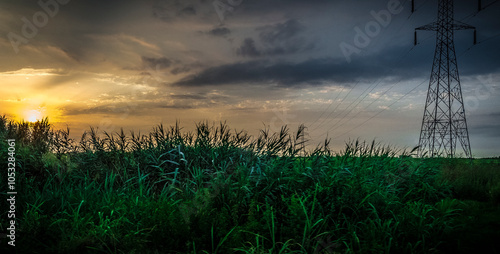 sunset over the field