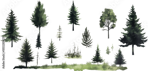 Watercolor forest trees and grass Vector illustration clip art set on white background