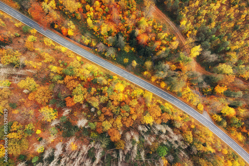 Luftaufnahme einer Straße die durch einen bunt gefärbten Wald verläuft