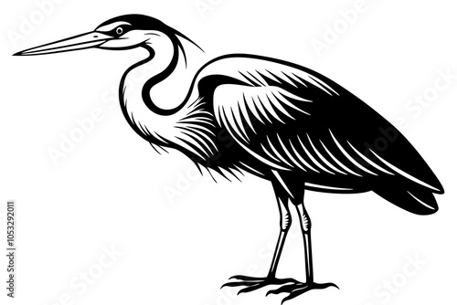 Heron Bird Silhouette Vector Illustration on White Background photo