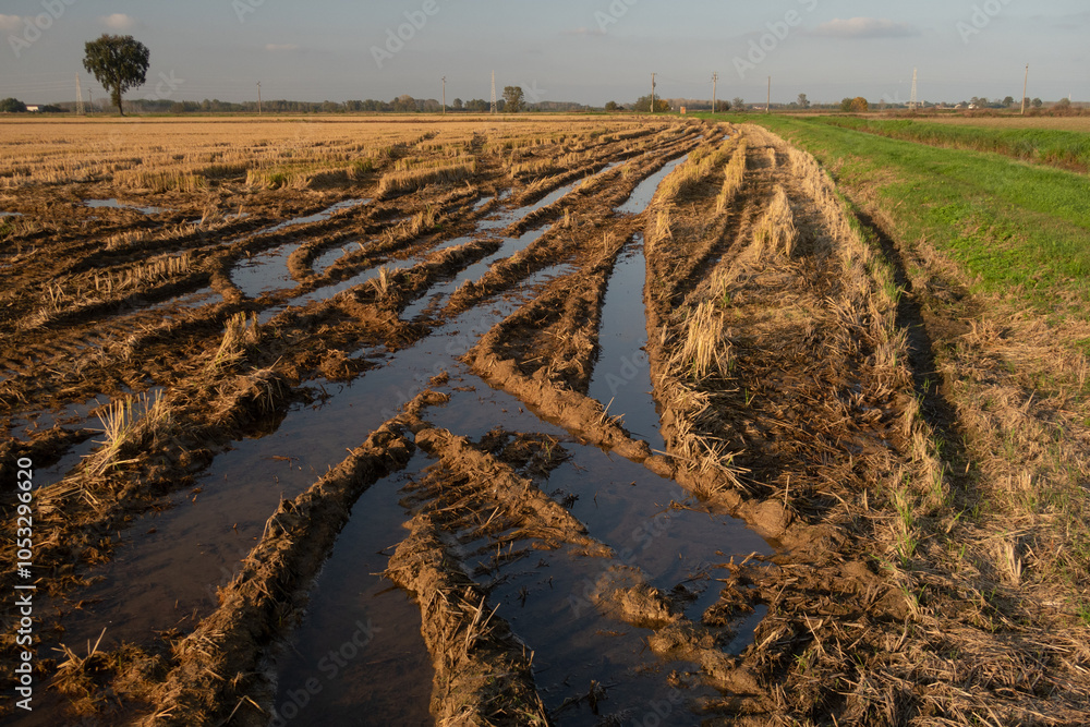 GPS INSIDE Po Valley fields field landscape panorama