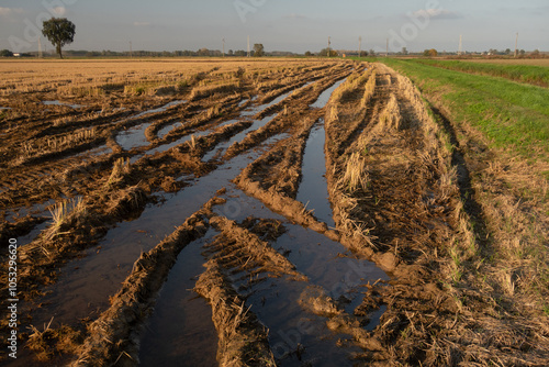 GPS INSIDE Po Valley fields field landscape panorama