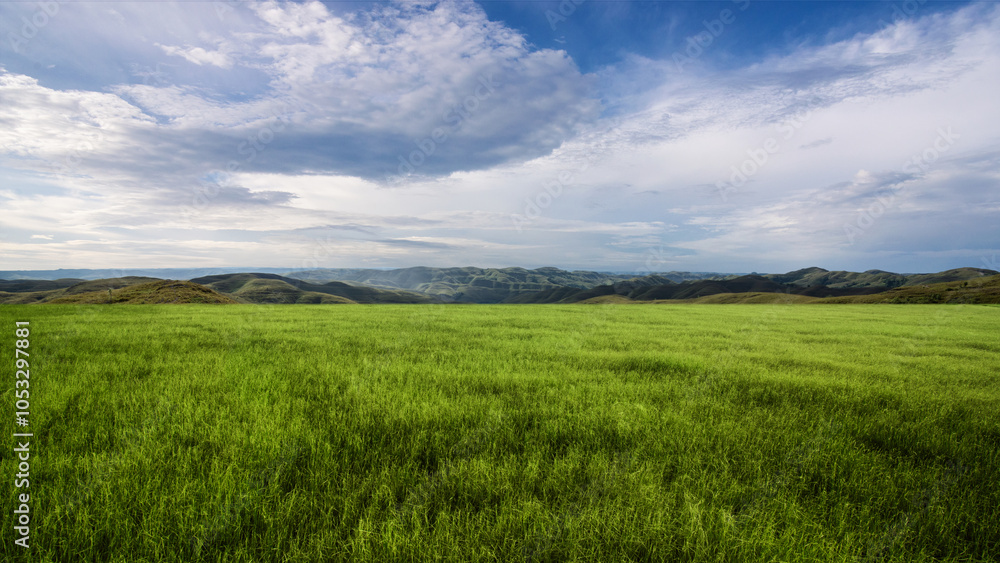 Meadow field with mountain range with blue sky and clouds in the background Meadow field with mountain range with blue sky and clouds in the background