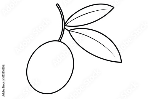 Olive line art vector illustration