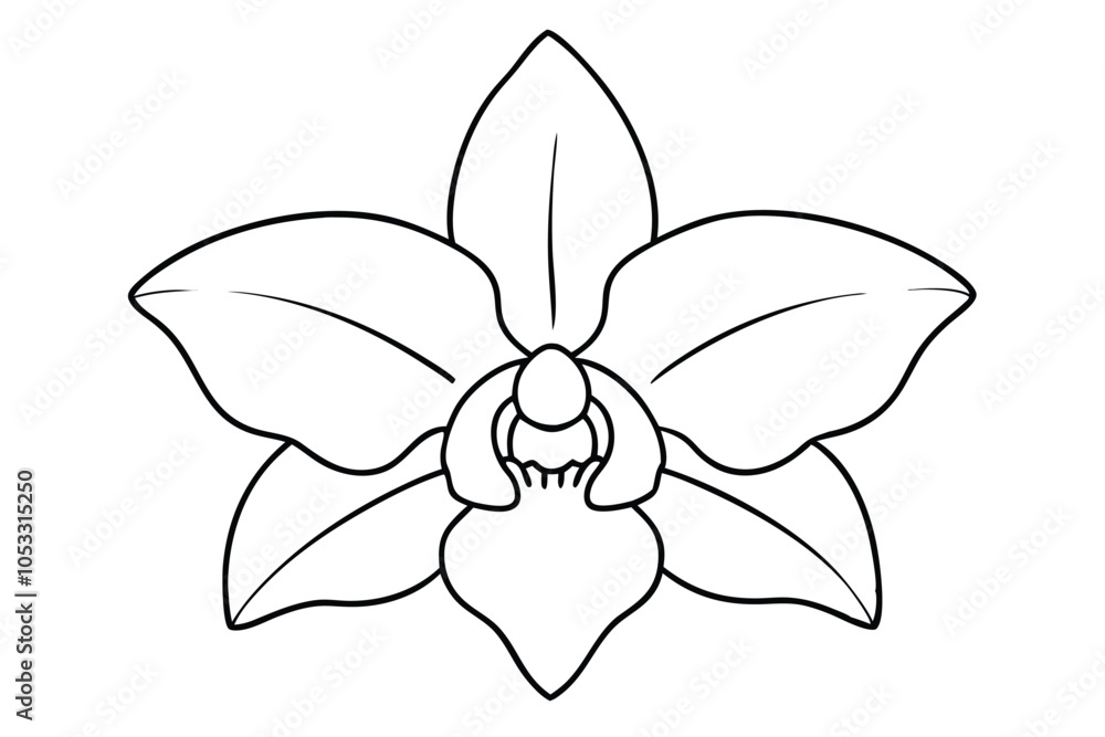 Orchid flower line art vector illustration Orchid flower line art vector illustration