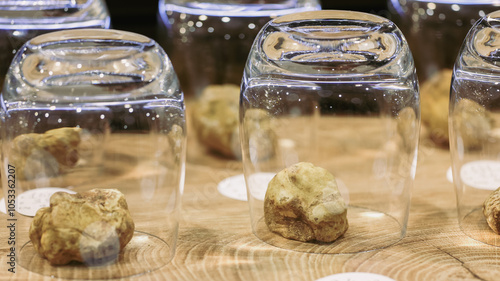 Alba Truffle Festival showcases exquisite truffles from Italy under glass domes photo