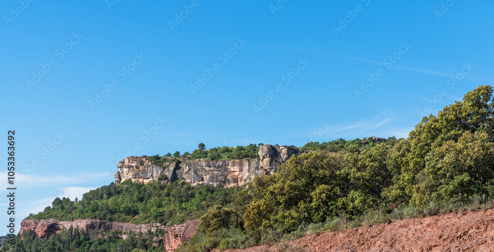 Fototapeta premium A serene landscape unfolds with a rugged, reddish-brown earth foreground leading to lush greenery, crowned by towering cliffs under a clear blue sky.
