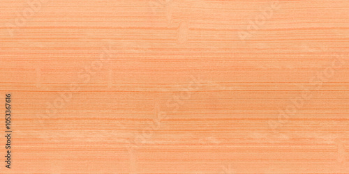 birch wood circles raw rift cut texture background