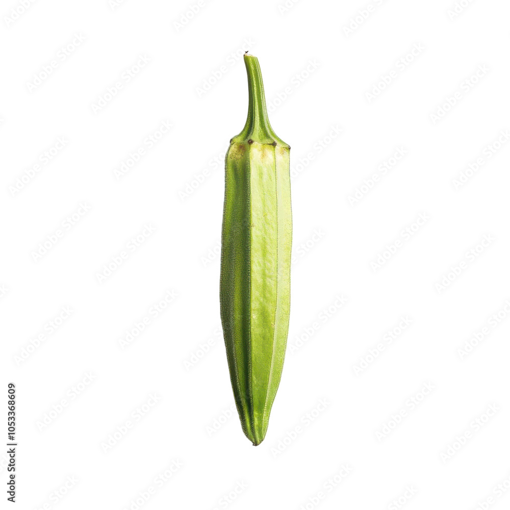 a single okra pod, fresh green with visible seeds, isolated on white background a single okra pod, fresh green with visible seeds, isolated on white background