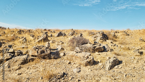 grass in the desert