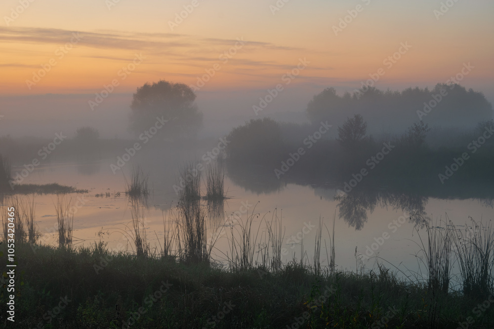 Fototapeta premium morning mist over the river