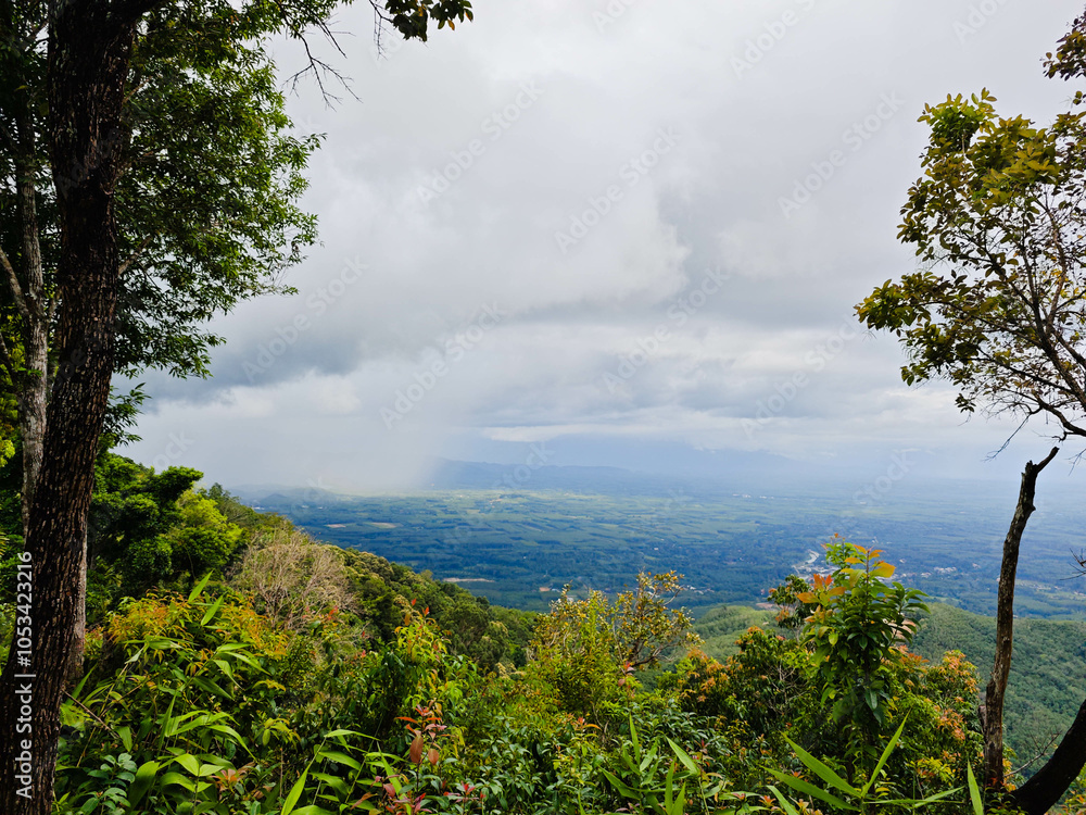 Obraz premium Khao Soon Sea of ​​Mist Viewpoint, a popular tourist attraction in Nakhon Si Thammarat Province, Thailand