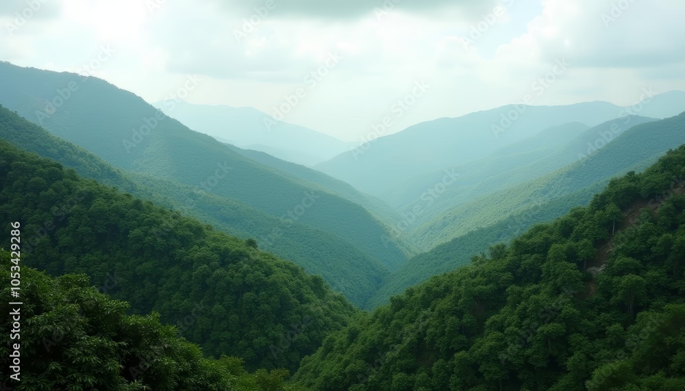 Enchanting Valley of Lush Green Trees Enchanting Valley of Lush Green Trees