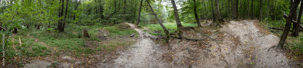 Forest and lake HDRI landscape, 360 degree panorama