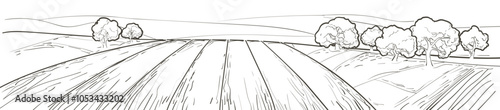 Vector sketch Green grass field on small hills. Meadow, alkali, lye, grassland, pommel, lea, pasturage, farm. Rural scenery landscape panorama of countryside pastures. Watercolor illustration