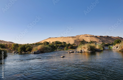 bank of nile river in a beautiful sunny spring day photo