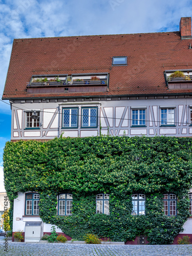 Mit Efeu bewachsenes Fachwerkhaua im Fischerviertel, Ulm, Baden-Württemberg, Deutschland photo